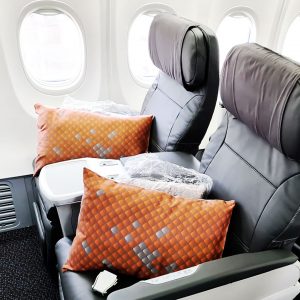 Singapore Airlines 737-800 Business Class Seat